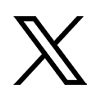 X (Twitter)